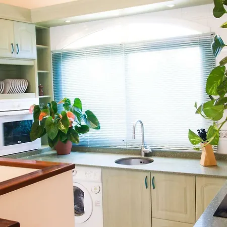 Apartment Paradise